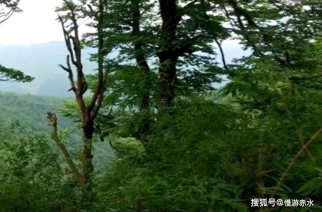 拿门禁逼业主交物业费 任性违法解决不了问题