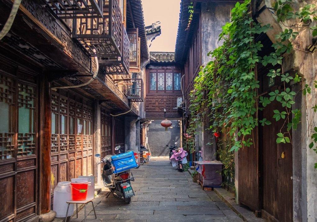 动物帮帮忙保卫家园